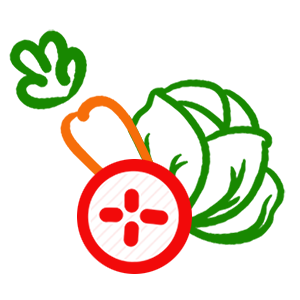 ترشیجات